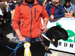 2019_ausstellung polling_331